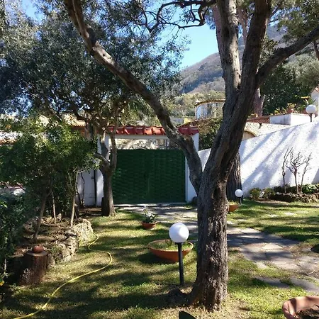 Casa Vacanze Lettoelatte Forio D'ischia 招待所 伊斯基亚