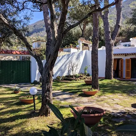 Casa Vacanze Lettoelatte Forio D'ischia בית הארחה *