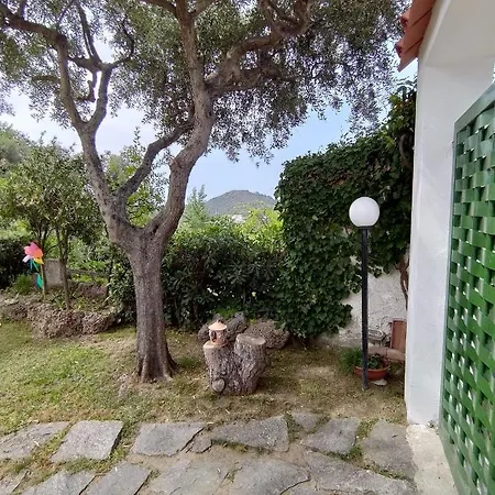 Casa Vacanze Lettoelatte Forio D'ischia